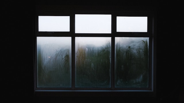 window replacement Sarasota, FL